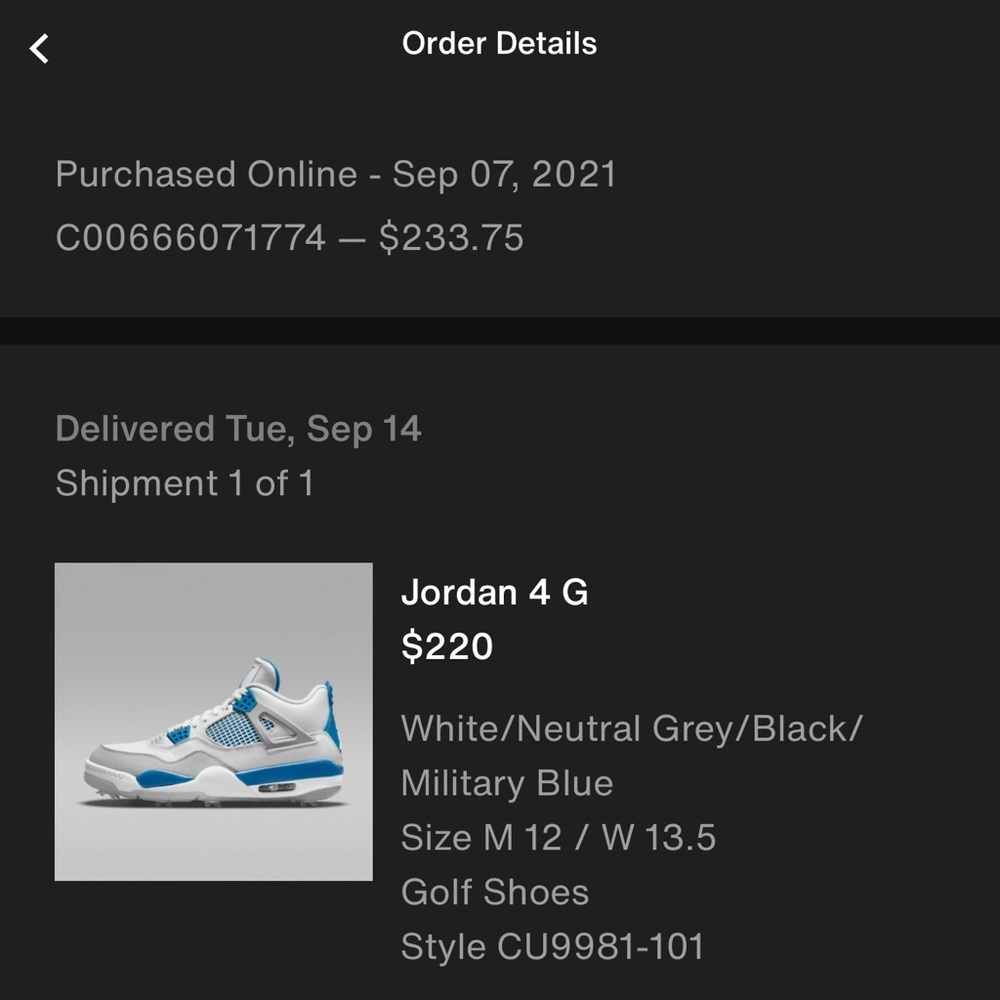 The Jordan 4 Golf Military Blue - Picture 11 of 11